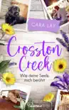 Crosston Creek - Wie deine Seele mich berührt sinopsis y comentarios