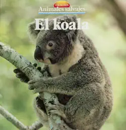 el koala book cover image