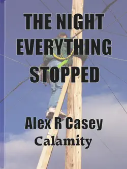 the night everything stopped book cover image