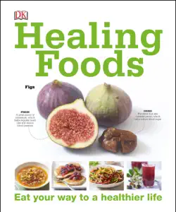 healing foods book cover image