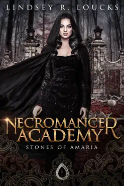 necromancer academy book cover image