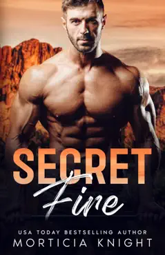 secret fire book cover image