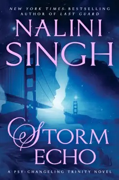 storm echo book cover image