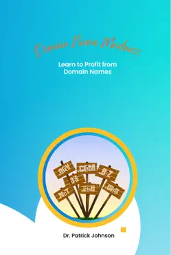 domain name madness - learn to profit from domain names book cover image