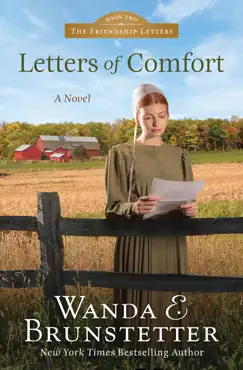 letters of comfort book cover image