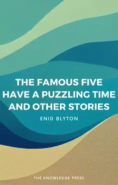 the famous five have a puzzling time and other stories book cover image