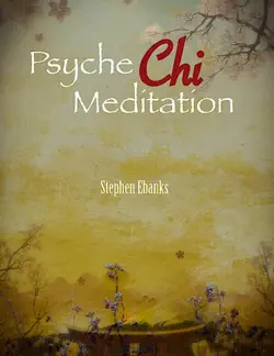psyche qi meditation book cover image