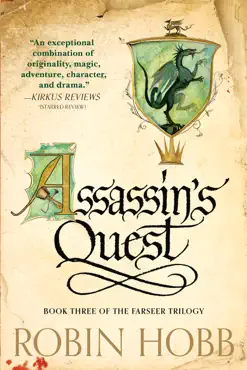 assassin's quest book cover image