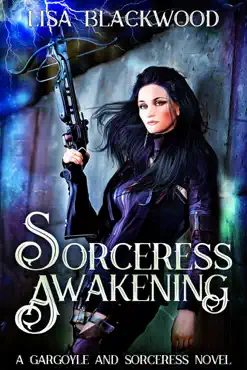 sorceress awakening book cover image