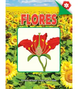 flores book cover image