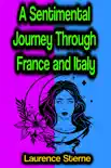 A Sentimental Journey Through France and Italy sinopsis y comentarios