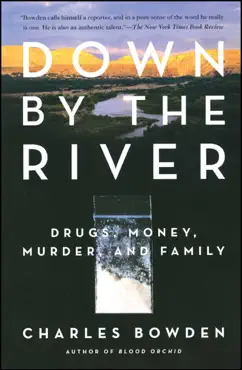 down by the river book cover image