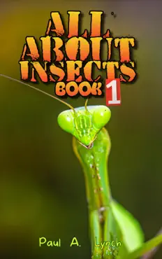all about insects book cover image