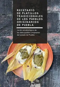 recetario de platillos tradicionales de los pueblos originarios de puebla imagen de la portada del libro