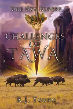 challenges of tawa book cover image