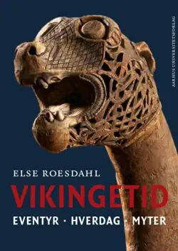 vikingetid book cover image