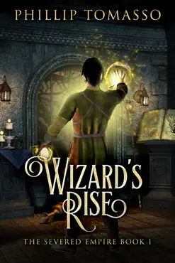 wizard's rise book cover image