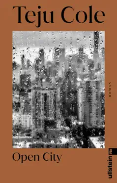 open city imagen de la portada del libro