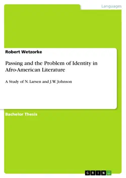 passing and the problem of identity in afro-american literature book cover image