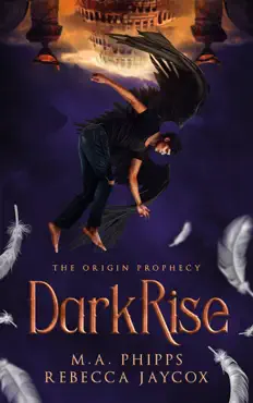 darkrise book cover image