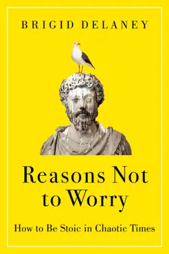 reasons not to worry book cover image