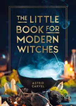 the little book for modern witches book cover image