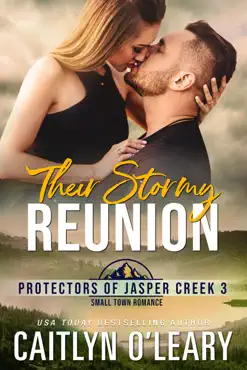 their stormy reunion book cover image