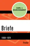 Briefe synopsis, comments