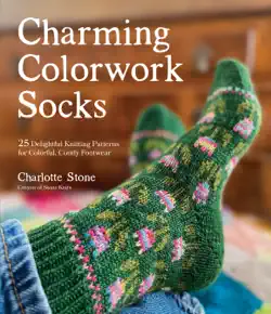 charming colorwork socks book cover image