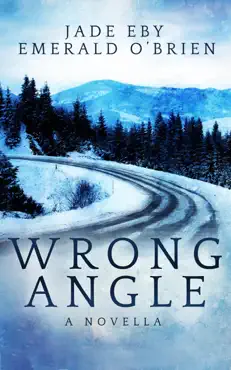wrong angle book cover image