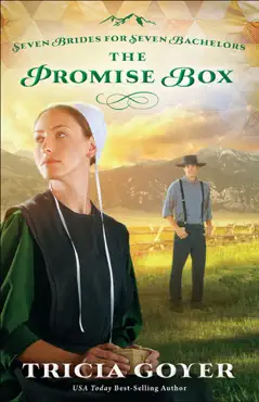 the promise box book cover image