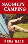 Naughty Camping synopsis, comments