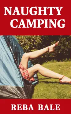 naughty camping book cover image