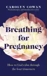 Breathing for Pregnancy sinopsis y comentarios
