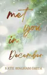 Met You In December synopsis, comments