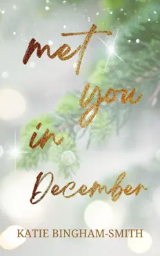 met you in december book cover image