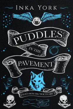 puddles in the pavement book cover image