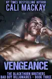 Vengeance synopsis, comments
