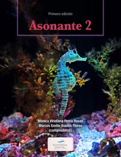 asonante 2 book cover image
