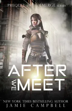 after we meet book cover image