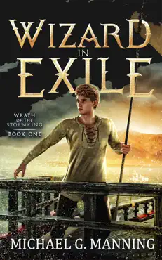 wizard in exile book cover image