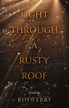 light through a rusty roof book cover image