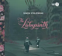 the labyrinth book cover image