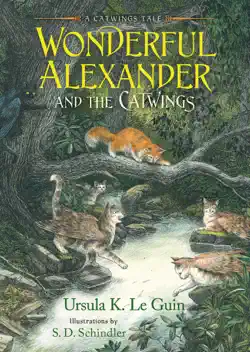 wonderful alexander and the catwings book cover image