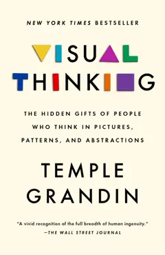 visual thinking book cover image