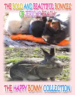 the bold and beautiful bunnies of jericho beach book cover image