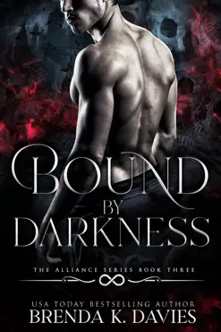 bound by darkness (the alliance, book 3) book cover image