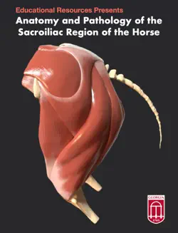 anatomy and pathology of the sacroiliac region of the horse imagen de la portada del libro