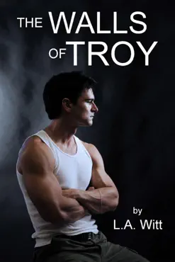 the walls of troy book cover image