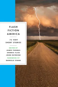 flash fiction america: 73 very short stories imagen de la portada del libro